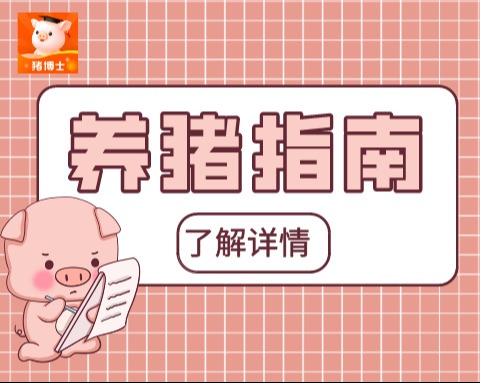 掌握这些母猪配料方法，轻松实现高效养殖！