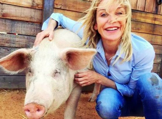 【夏季养猪避坑指南】高温暴击！做好这几点让猪群安然度夏！