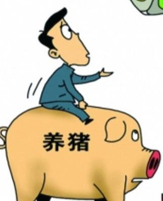 怎样提高产房哺乳仔猪成活率