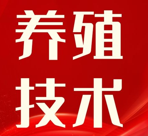 用数据说话！批次化生产对母猪繁殖性能指标的影响
