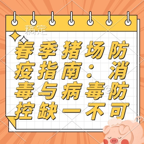 春季猪场防疫指南：消毒与病毒防控缺一不可