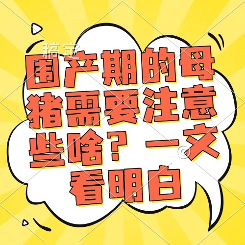 围产期的母猪需要注意些啥？一文看明白