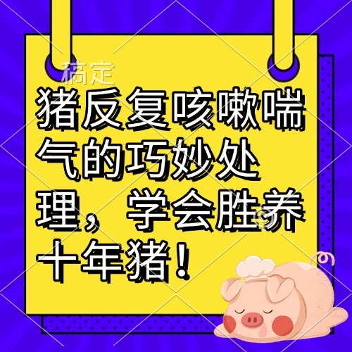 猪反复咳嗽喘气的巧妙处理，学会胜养十年猪！