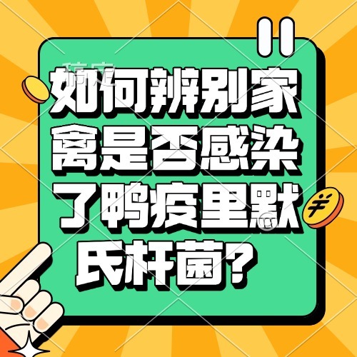 如何辨别家禽是否感染了鸭疫里默氏杆菌？