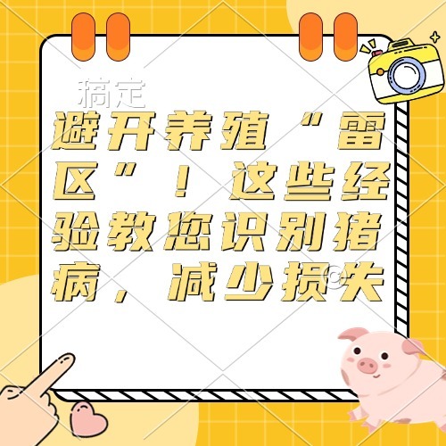 避开养殖“雷区”！这些经验教您识别猪病，减少损失