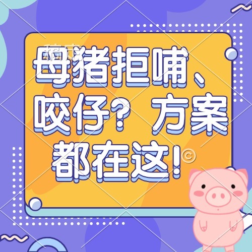 母猪拒哺、咬仔？方案都在这！