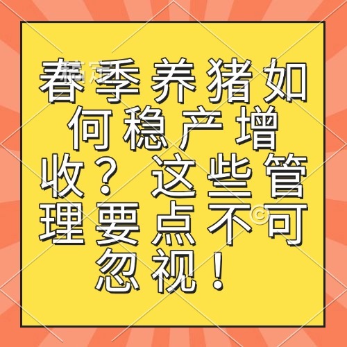 春季养猪如何稳产增收？这些管理要点不可忽视！