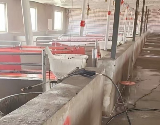 养猪技术与养殖方法全解析