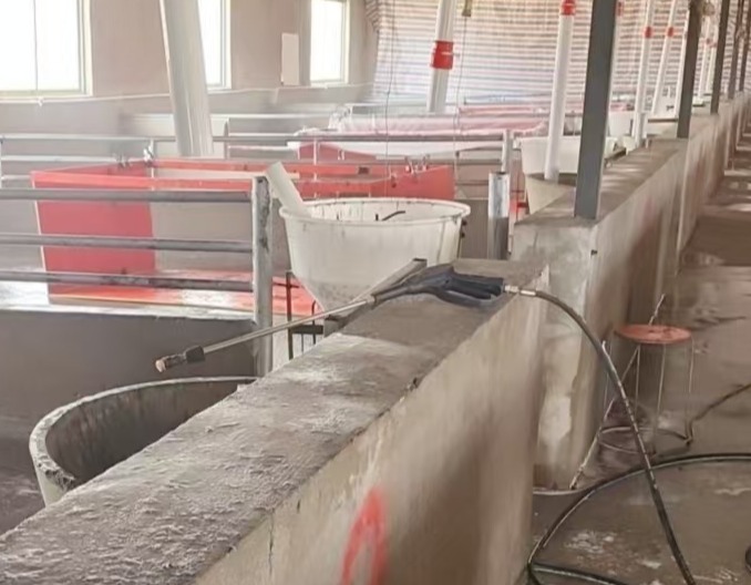 哺乳期母猪拉稀危害大，该如何治疗？