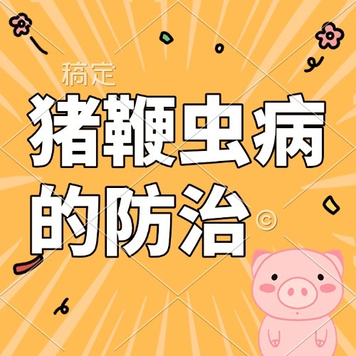 猪鞭虫病的防治