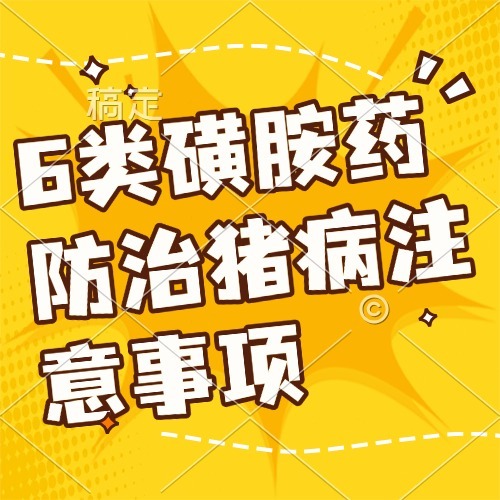 6类磺胺药防治猪病注意事项
