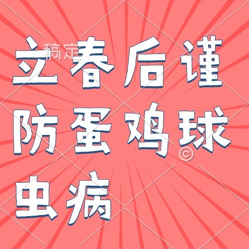 立春后谨防蛋鸡球虫病