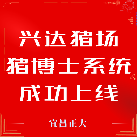 热烈祝贺兴达猪场猪博士系统成功上线！