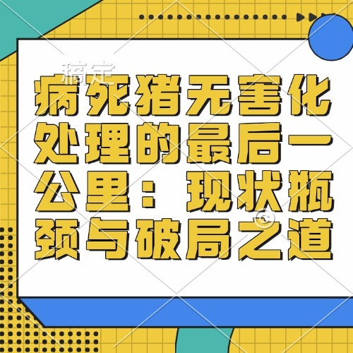 病死猪无害化处理的最后一公里：现状瓶颈与破局之道
