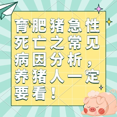 育肥猪急性死亡之常见病因分析，养猪人一定要看！