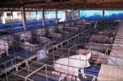 每日龙虎榜 | 商品期货综合指数上涨0.53% 日内资金净流入27.40亿元