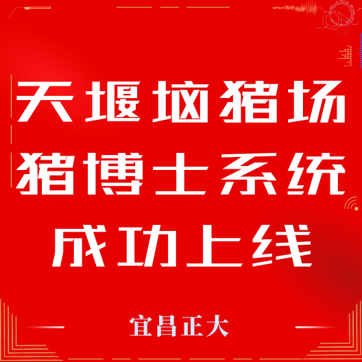 热烈祝贺天堰垴猪场猪博士系统成功上线!