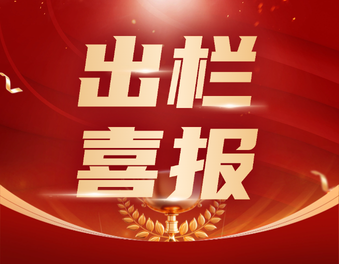 料肉比2.6！热烈祝贺毅丰养殖场出栏创佳绩〡正大（绵阳）