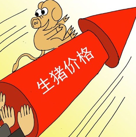 7月猪价或将以“涨多跌少”为主？