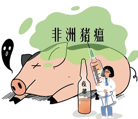 全球2025年1-6月非洲猪瘟疫情汇总：超6600起，17.5万头生猪感染非瘟