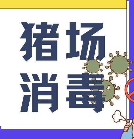 农村养猪场怎么消毒？消毒要全面细致
