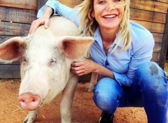 【文献推送】规模化生态养猪的技术要点和发展趋势