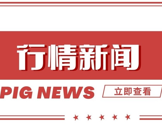 全国猪价一片红！绝地反弹！上涨逻辑是什么？