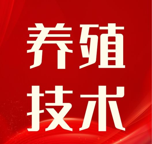 接产不是“力气活”：四步精细化操作，让仔猪健康“开挂”有人说接产谁不会？