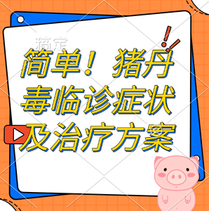 简单！猪丹毒临诊症状及治疗方案