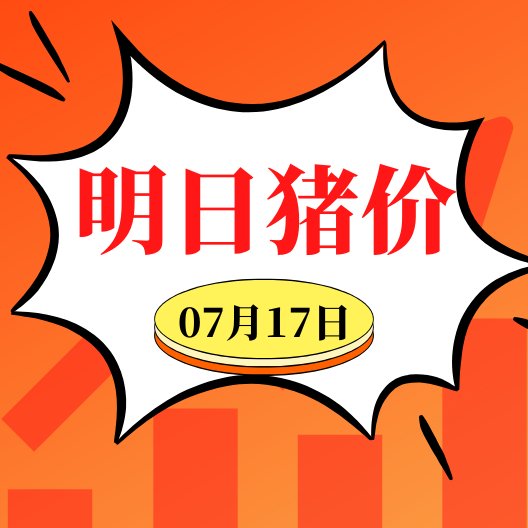 7.17明日猪价早知道,全国最新猪价信息
