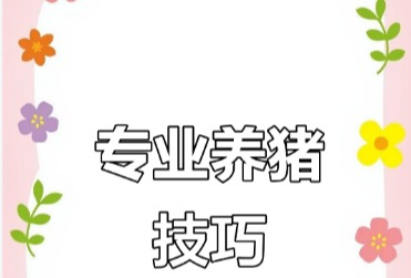 猪中暑了怎么办？专家支招生猪中暑常备药物