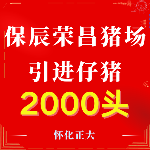 热烈祝贺保辰猪场成功引进双阴仔猪2000头！