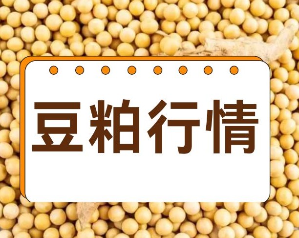 2025年7月中国大豆供需形势分析：全球大豆产量预计延续增势，供需维持宽松格局