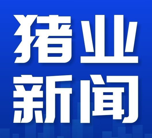猪价迷局：养猪人，别被欲望“绑架”了！
