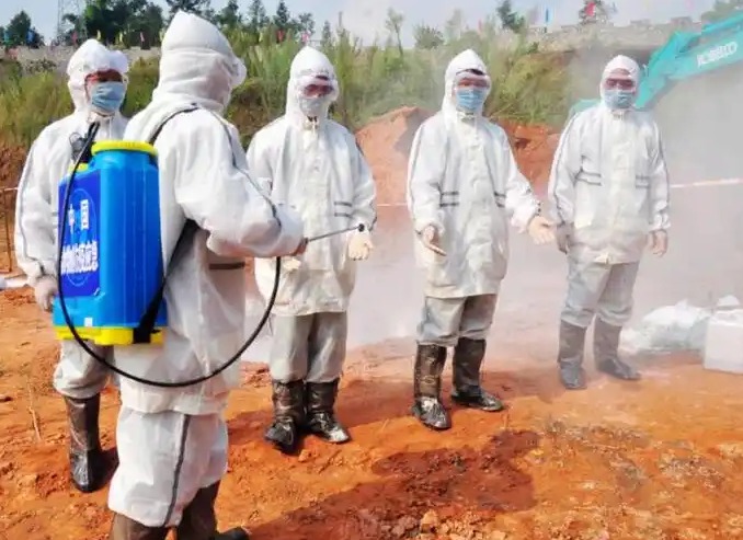 隐形防线！消毒工作三大细节决定防疫成败