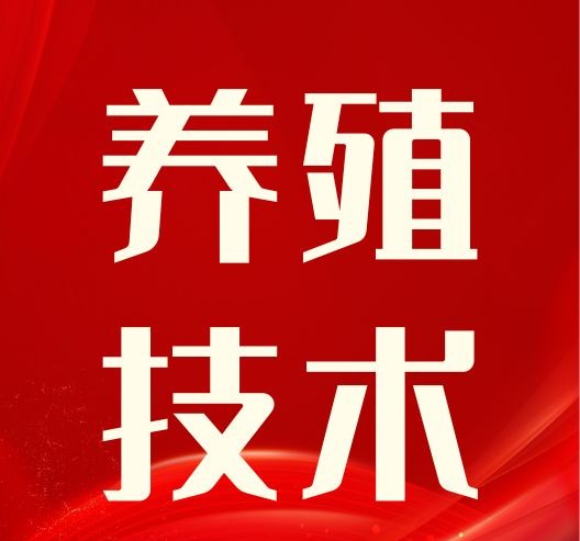 夏季母猪怀孕必看：3招降温+2式补营养，轻松渡过“危险期”！