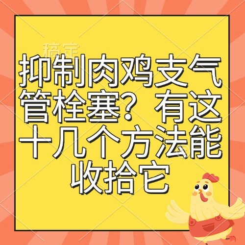 抑制肉鸡支气管栓塞？有这十几个方法能收拾它
