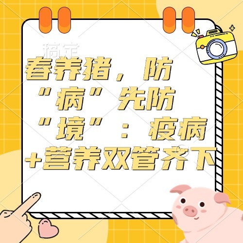 春养猪，防“病”先防“境”：疫病+营养双管齐下