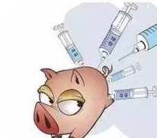 仔猪球虫性腹泻的预防与治疗方案
