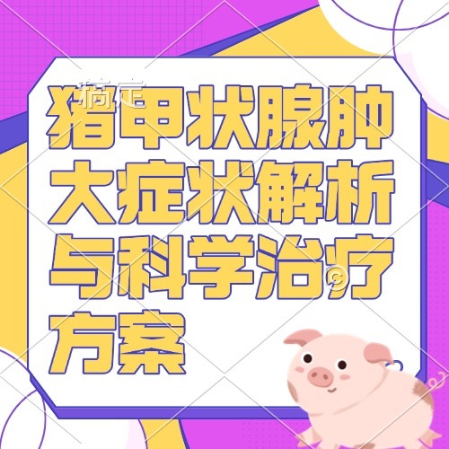 猪甲状腺肿大症状解析与科学治疗方案