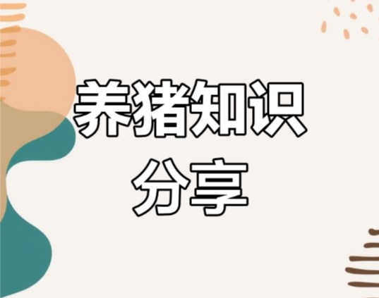 一文读懂猪群亚健康：临床表现+针对性改善措施