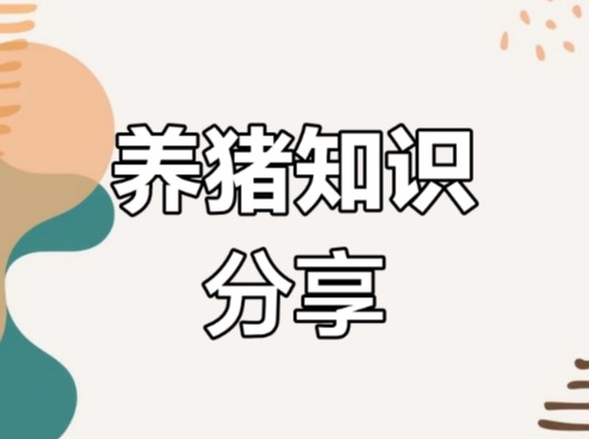 母猪断奶后体况恢复很重要，一定要重视！