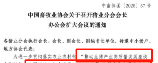 100万母猪产能怎么去？养猪行业又要开大会了，探讨落实控二育、降体重，生猪期货应声上涨