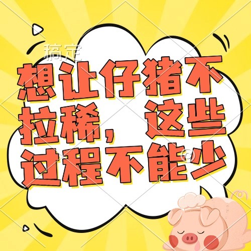 想让仔猪不拉稀，这些过程不能少