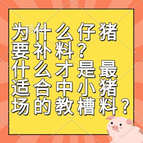 为什么仔猪要补料？　 什么才是最适合中小猪场的教槽料?