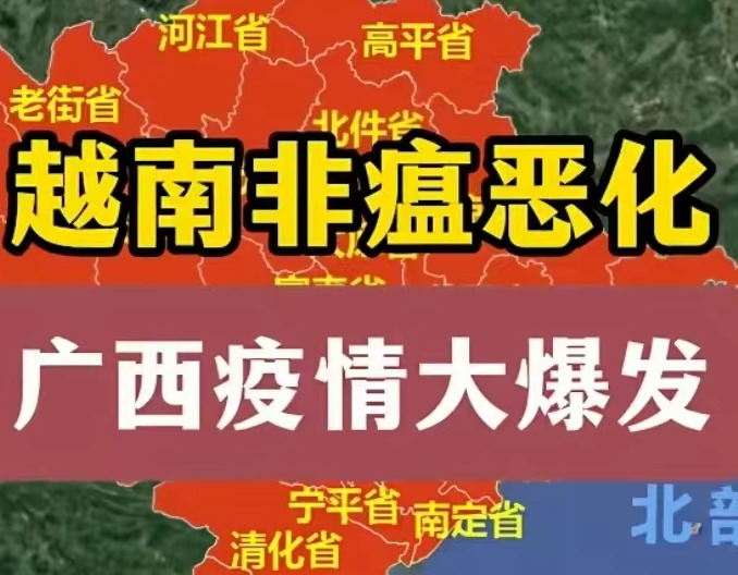 死亡209头!广西非瘟疫情与越南扑杀潮叠加:仔猪价跌至429元是机会还是陷阱