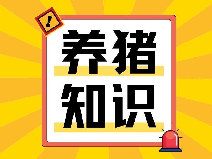 如何准确的诊断猪流行性感冒？