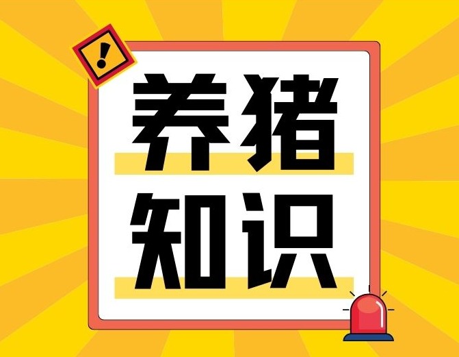 山东省畜牧兽医局：关于做好非洲猪瘟等重大动物疫病区域化防控的通知