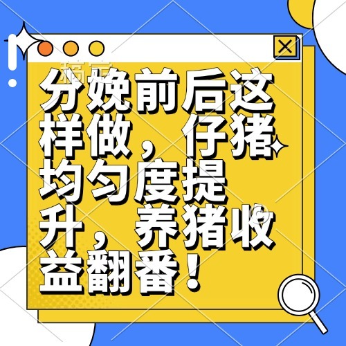 分娩前后这样做，仔猪均匀度提升，养猪收益翻番！