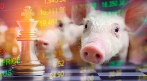 【今日猪价】8月22日生猪报价！（附最新报价表）